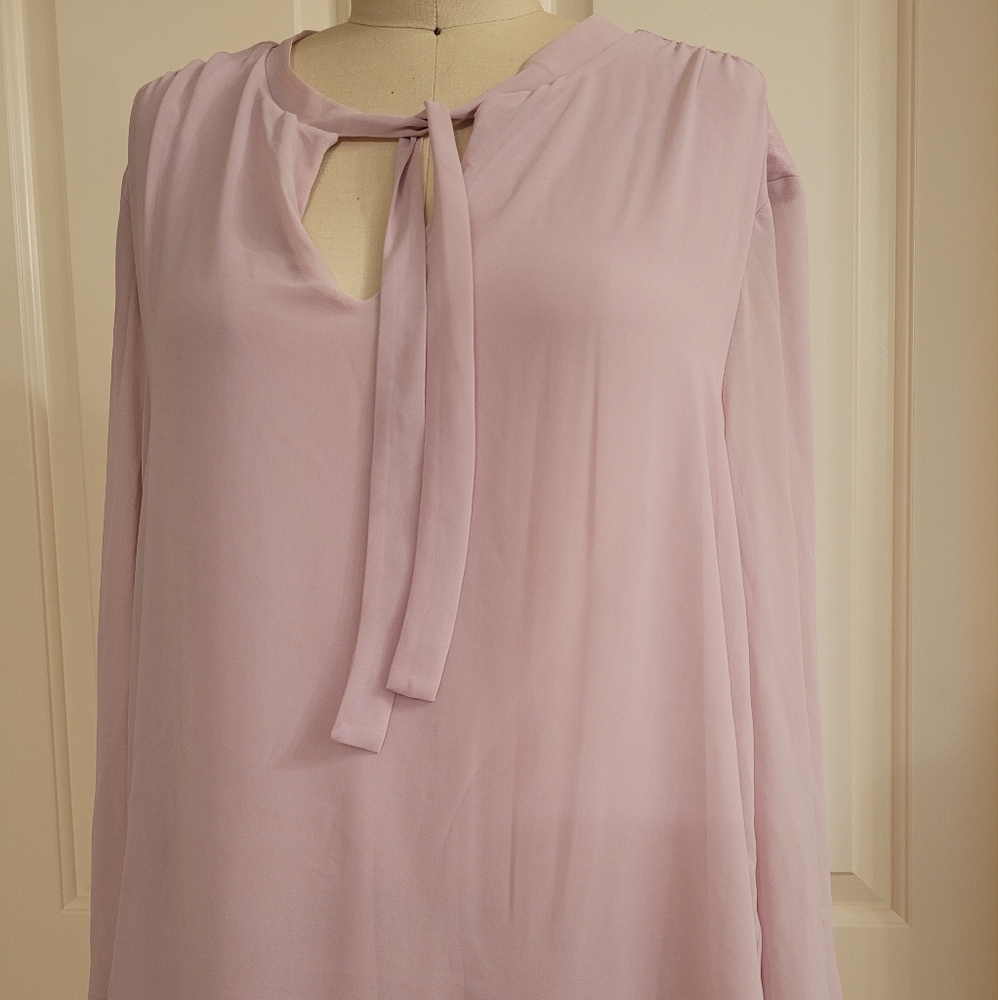 Ann Taylor Size L Pink Top